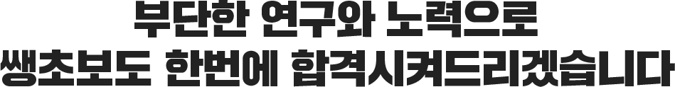 합격 최적화 커리큘럼